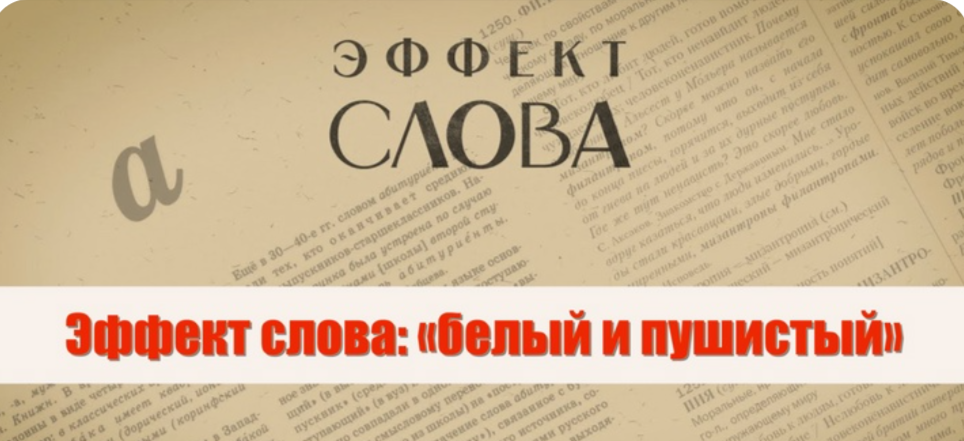 14.12.2024 Г.Г. Слышкин в выпуске программы «Эффект слова» о выражении «белый и пушистый»