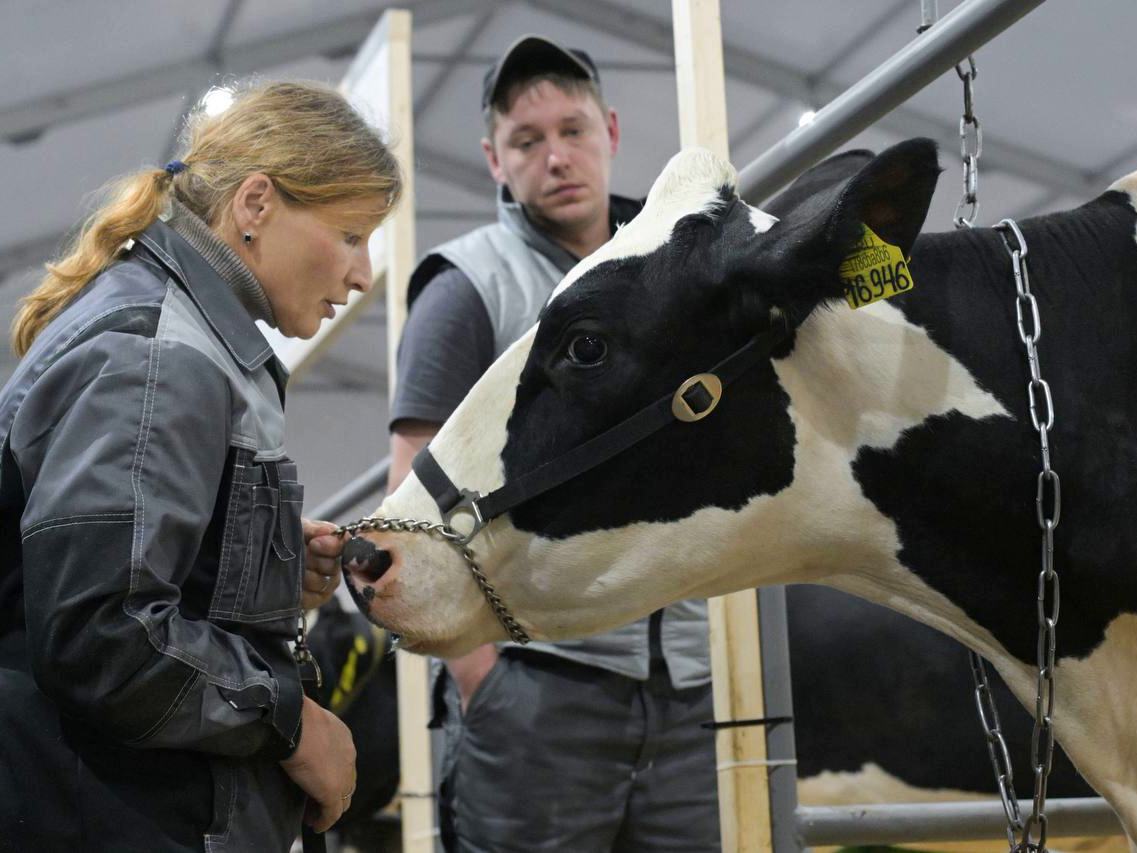 На подготовку кадров для агропрома Правительство выделит дополнительно свыше 500 млн рублей
