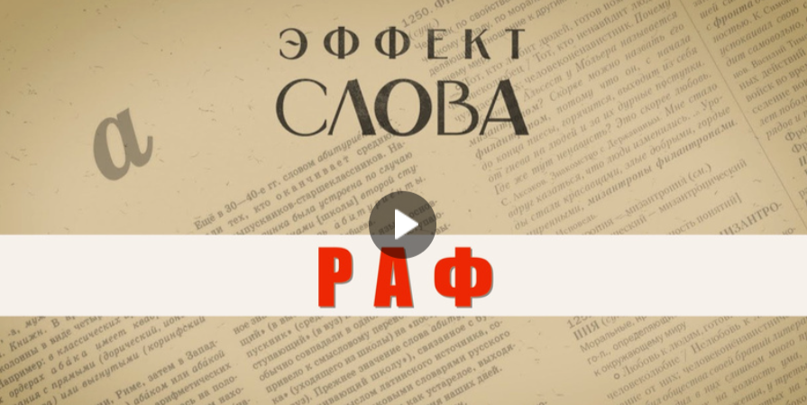 30.08.2024 Г.Г. Слышкин в выпуске программы «Эффект слова» о том, что такое раф