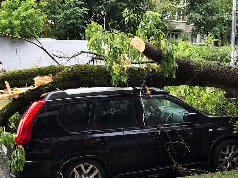 Юридическая клиника РАНХиГС добилась возмещения убытков автовладельцу от управляющей компании 