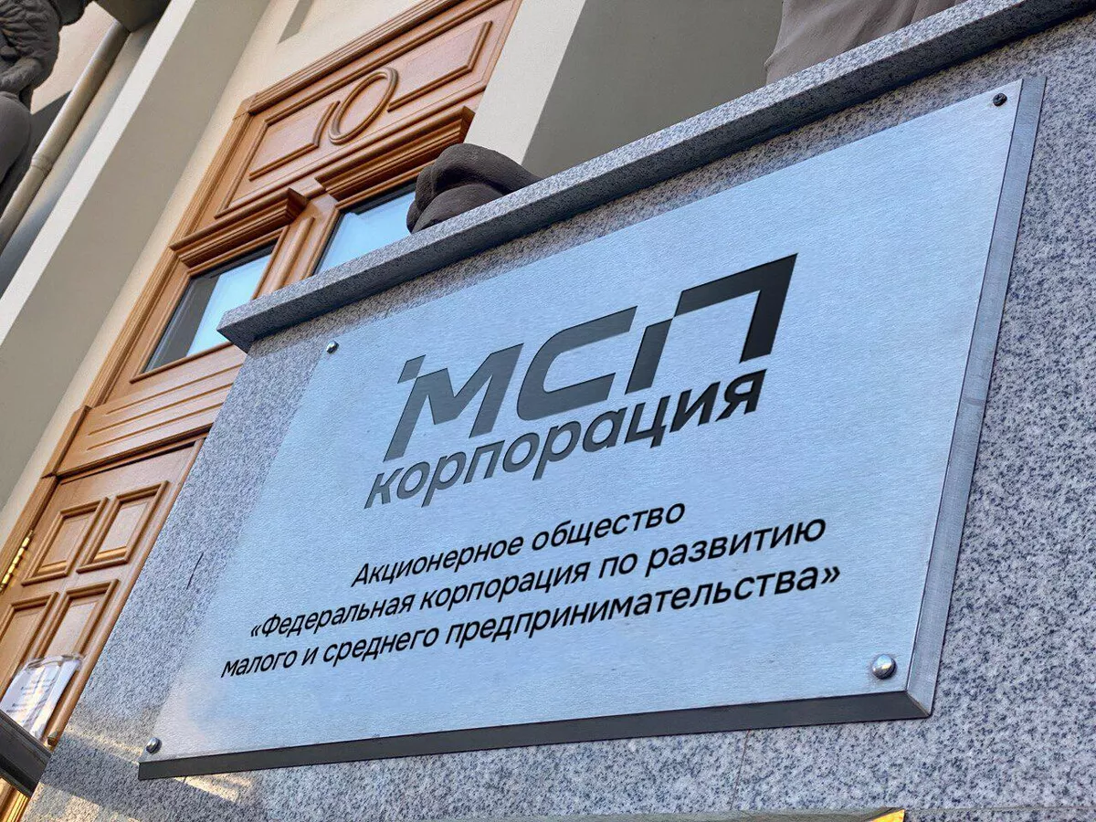 Правительство направит 3,5 млрд рублей на поддержку МСП в моногородах и ОЭЗ