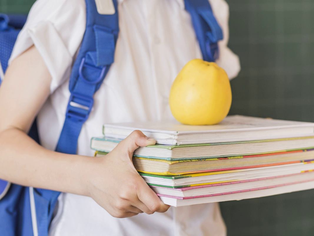 В школах появятся новые учебники по языкам республик России