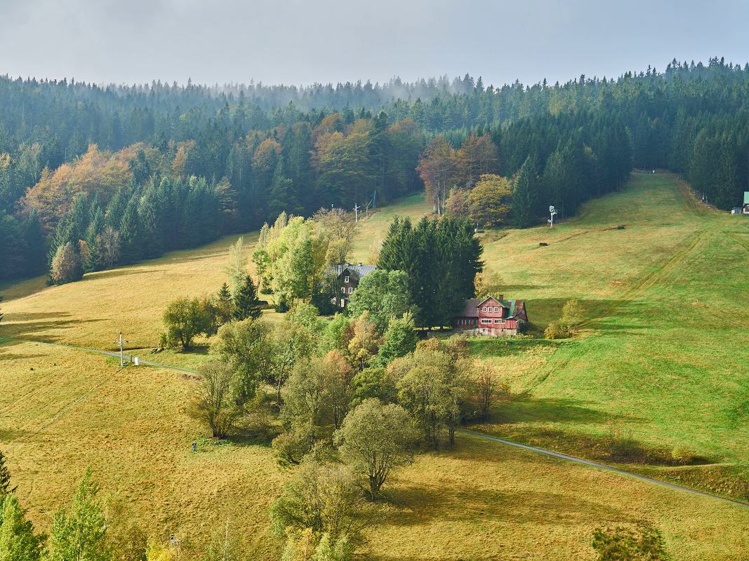 В РФ выявили более 32 тыс. га земли в рамках реализации проекта «Земля для туризма»