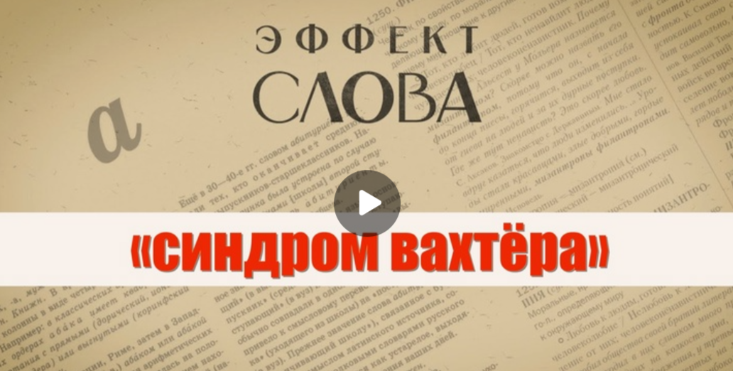 30.11.2024 Г.Г. Слышкин в выпуске программы «Эффект слова» о выражении «синдром вахтера»