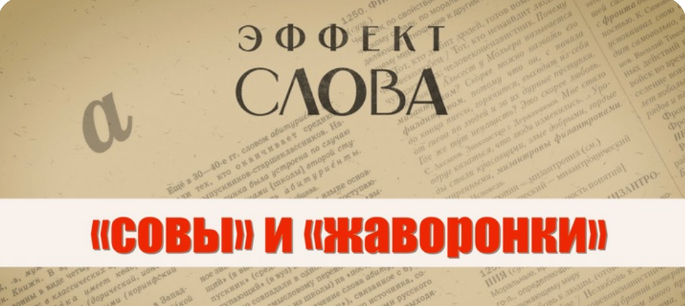 16.11.2024 Г.Г. Слышкин в выпуске программы «Эффект слова» о совах и жаворонках