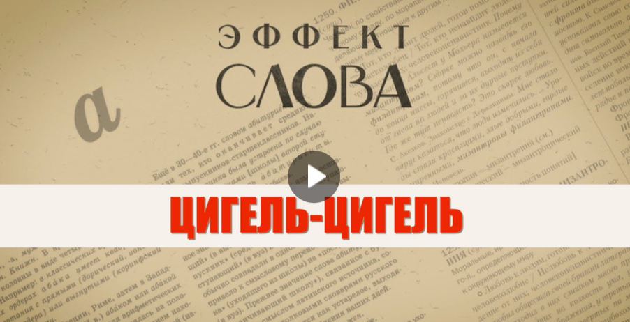 05.09.2024 Г.Г. Слышкин в выпуске программы «Эффект слова» о выражении «цигель-цигель»